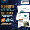 Mendelian Genetics & Inheritance Substitute Slideshow & Teacher Guide cover