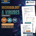 Microbiology & Viruses Guided Notes cover