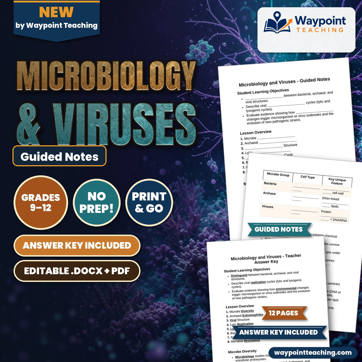 Microbiology & Viruses Guided Notes cover