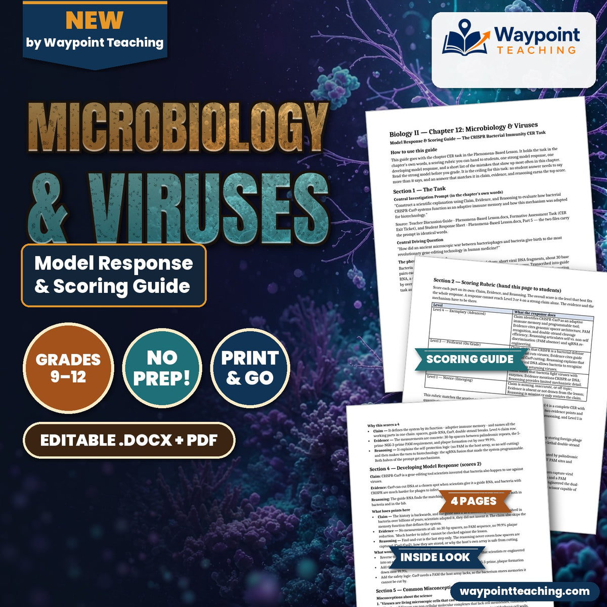 Microbiology & Viruses Model Response & Scoring Guide cover
