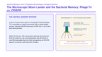 Microbiology & Viruses Phenomena-Based Lesson: The Microscopic Moon Lander and the Bacterial Memory: Phage T4 vs. CRISPR Presentation sample page