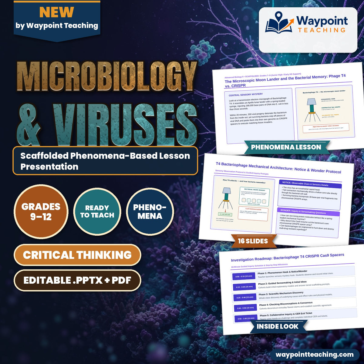 Microbiology & Viruses Scaffolded Phenomena-Based Lesson: The Microscopic Moon Lander and the Bacterial Memory: Phage T4 vs. CRISPR Presentation cover
