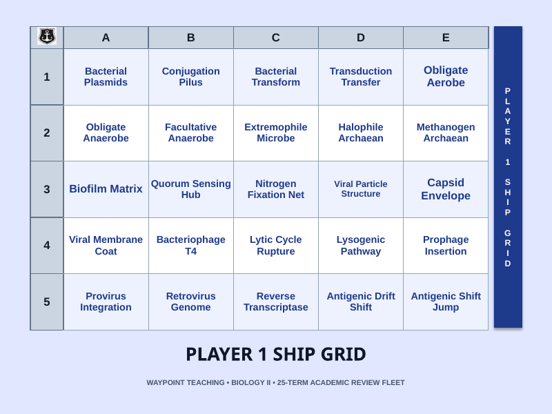 Microbiology & Viruses Sea Battle Review Game sample page