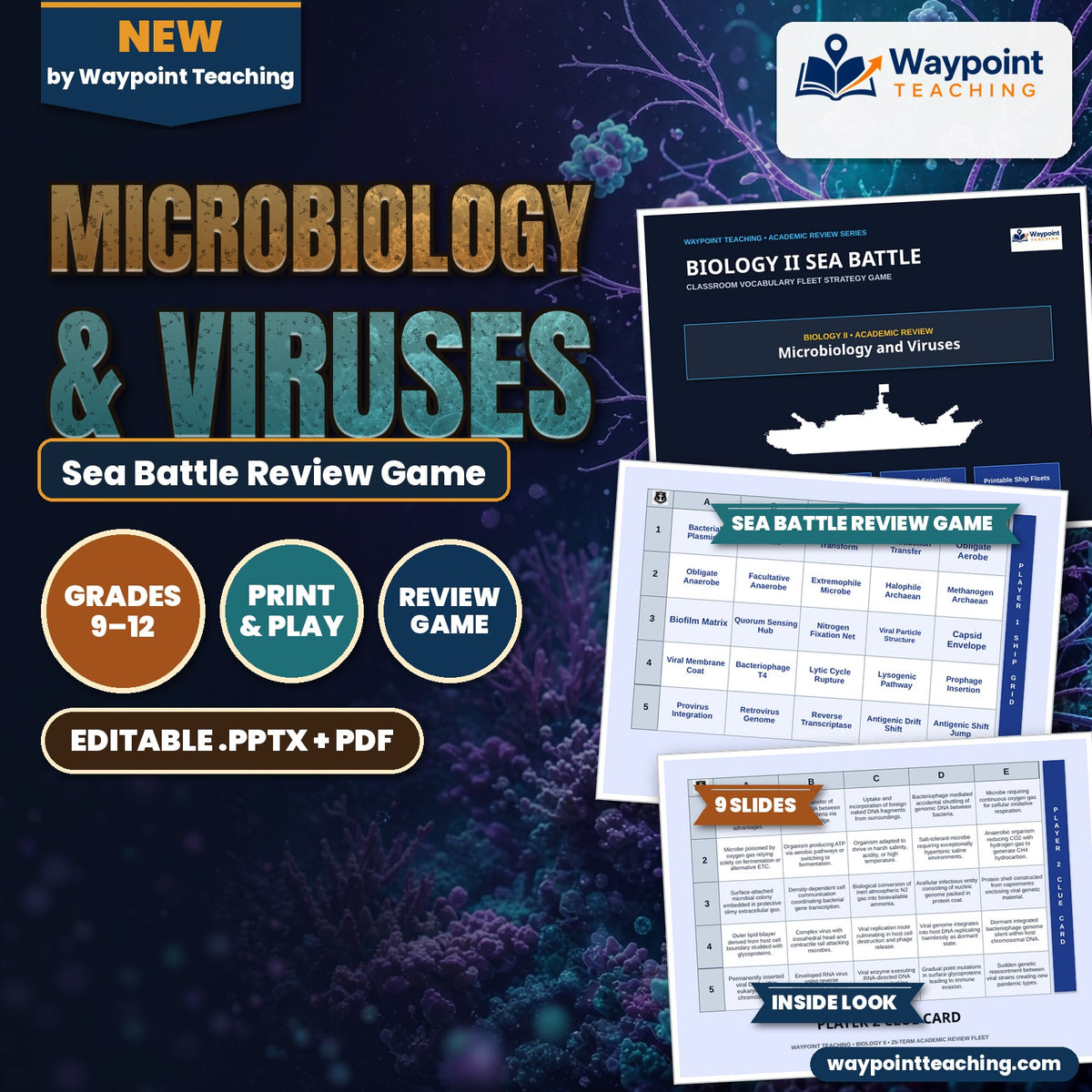 Microbiology & Viruses Sea Battle Review Game cover