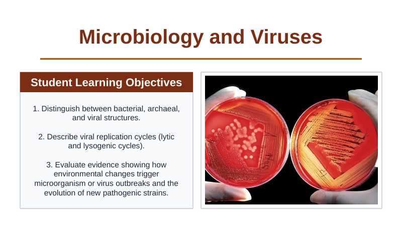 Microbiology & Viruses Slide Show Presentation sample page