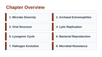 Microbiology & Viruses Slide Show Presentation sample page