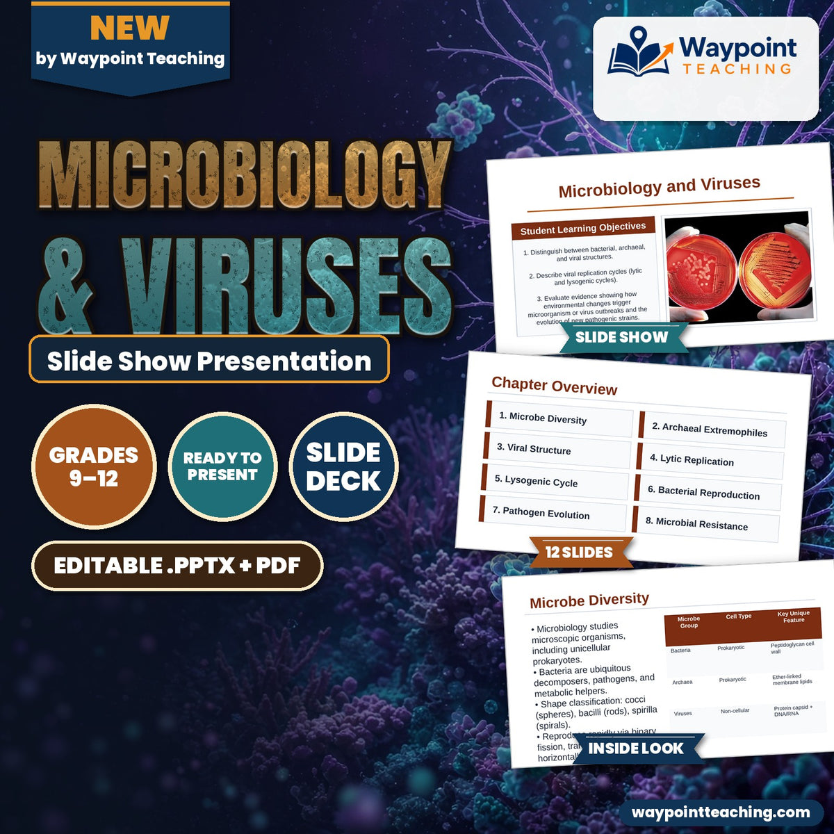 Microbiology & Viruses Slide Show Presentation cover