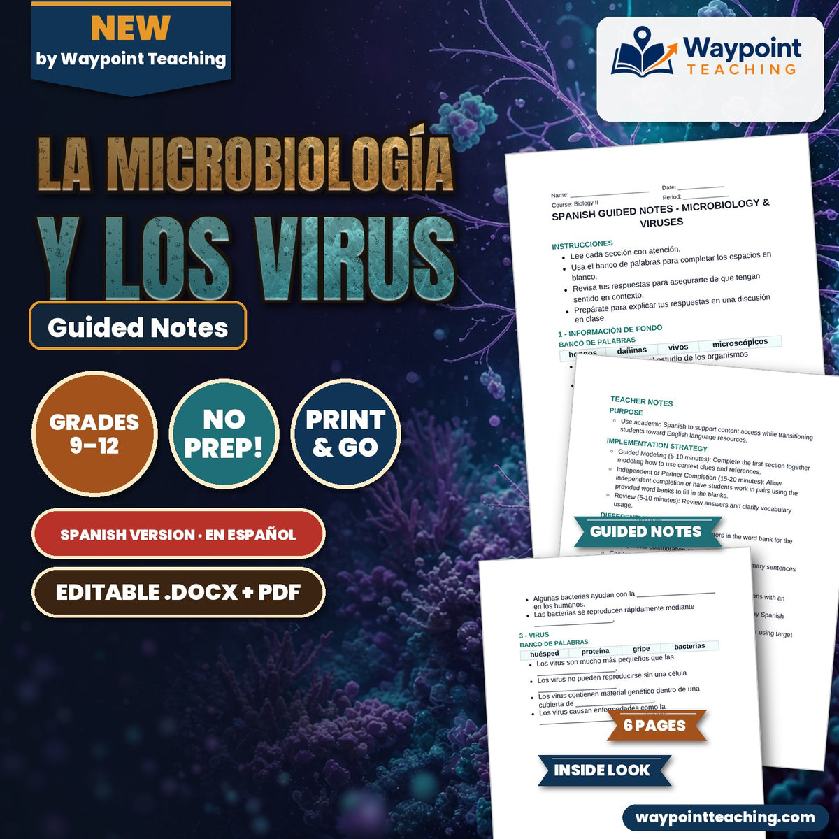 Microbiology & Viruses Spanish Guided Notes cover