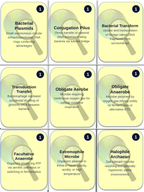 Microbiology & Viruses Trivia Board Game sample page