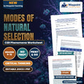 Modes of Natural Selection: Directional, Stabilizing, Disruptive, and Balancing Selection in Heterozygote Advantage CER Phenomena Worksheet cover