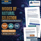Modes of Natural Selection: Directional, Stabilizing, Disruptive, and Balancing Selection in Heterozygote Advantage CER Phenomena Worksheet cover