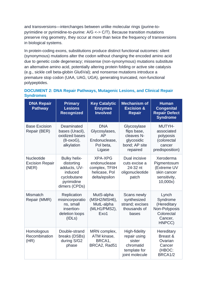 Molecular Mutagenesis: Point Mutations, Frameshifts, DNA Repair Pathways, and Microsatellite Instability CER Phenomena Worksheet sample page