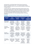 Molecular Mutagenesis: Point Mutations, Frameshifts, DNA Repair Pathways, and Microsatellite Instability CER Phenomena Worksheet sample page