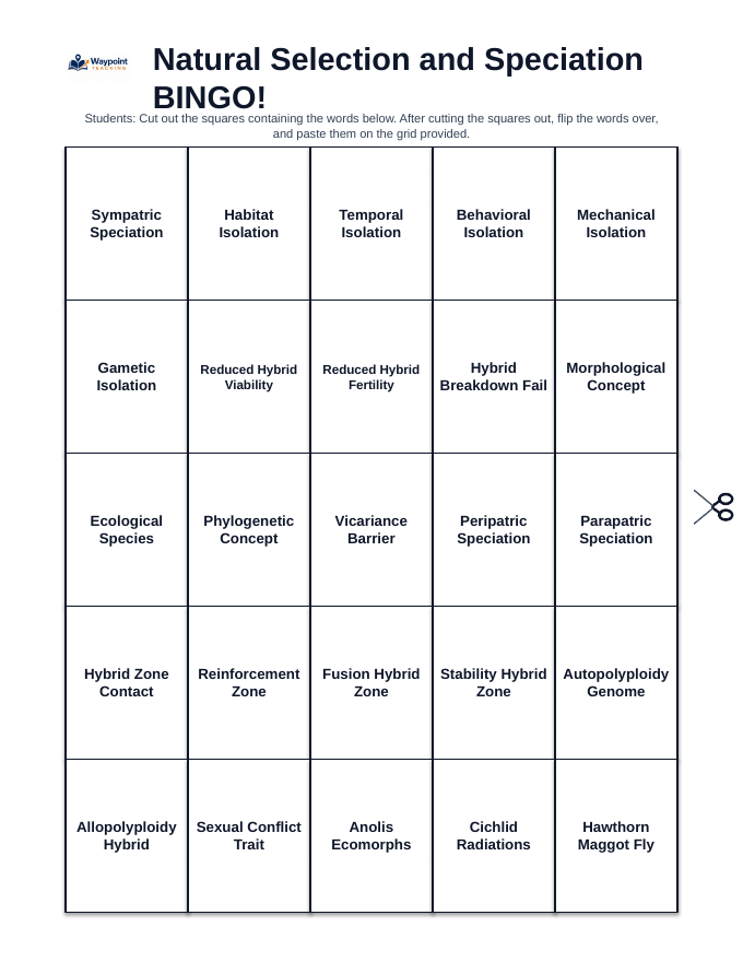 Natural Selection & Speciation BINGO Review Game sample page