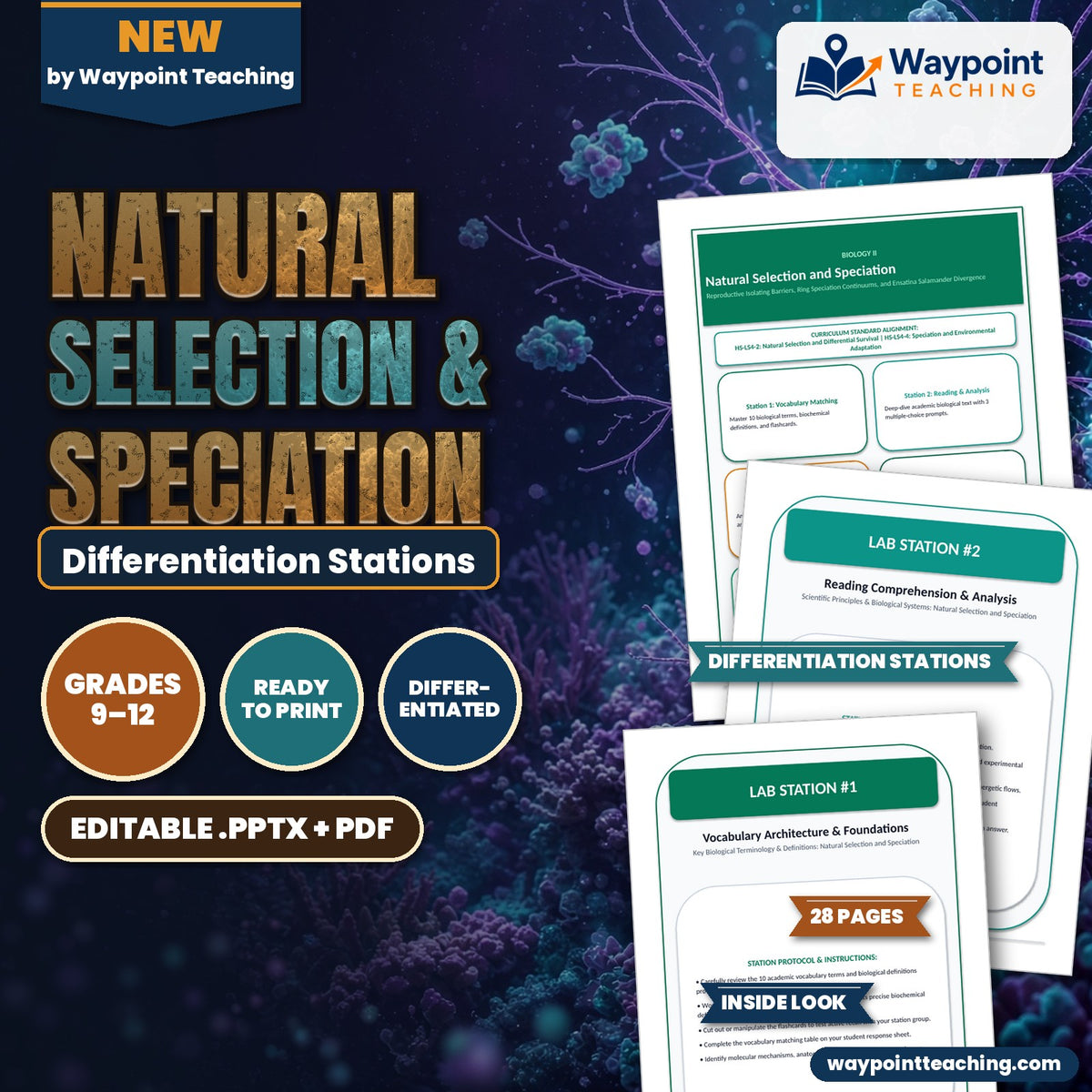 Natural Selection & Speciation Differentiation Stations cover