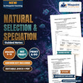Natural Selection & Speciation Guided Notes cover