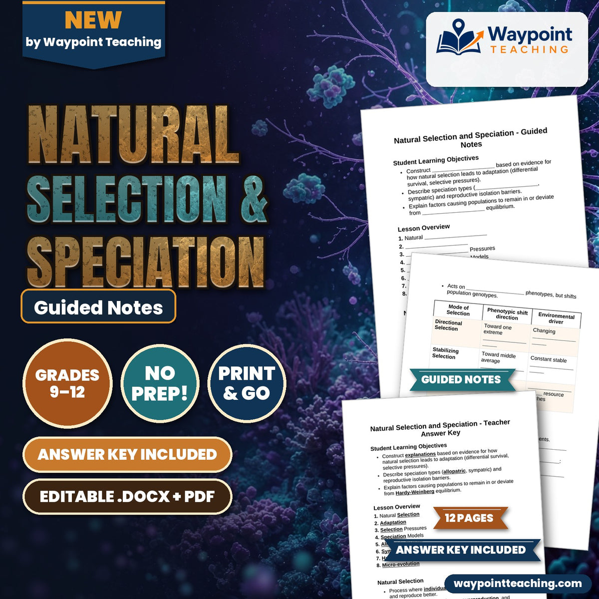 Natural Selection & Speciation Guided Notes cover