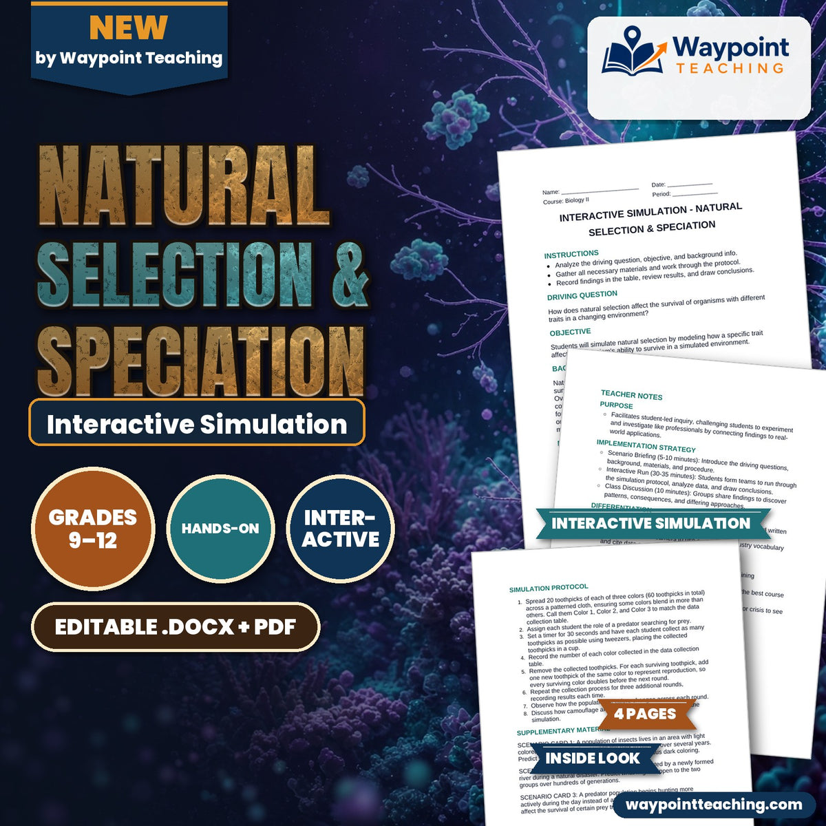 Natural Selection & Speciation Interactive Simulation cover
