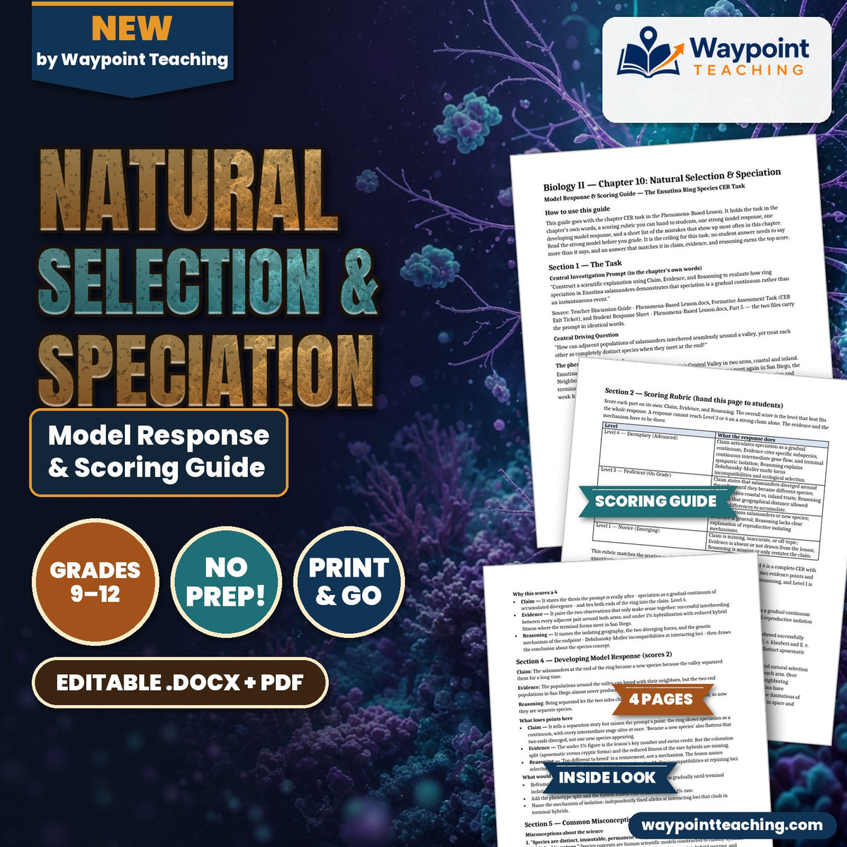 Natural Selection & Speciation Model Response & Scoring Guide cover