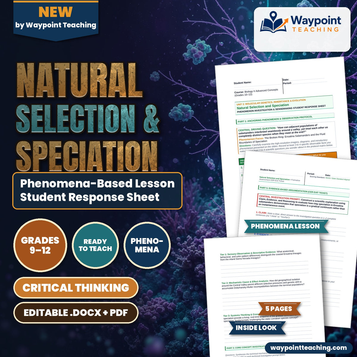 Natural Selection & Speciation Phenomena-Based Lesson: The Broken Ring: Ensatina Salamanders and the Fluid Boundaries of Speciation Student Response Sheet cover