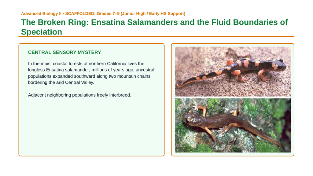 Natural Selection & Speciation Scaffolded Phenomena-Based Lesson: The Broken Ring: Ensatina Salamanders and the Fluid Boundaries of Speciation Presentation sample page