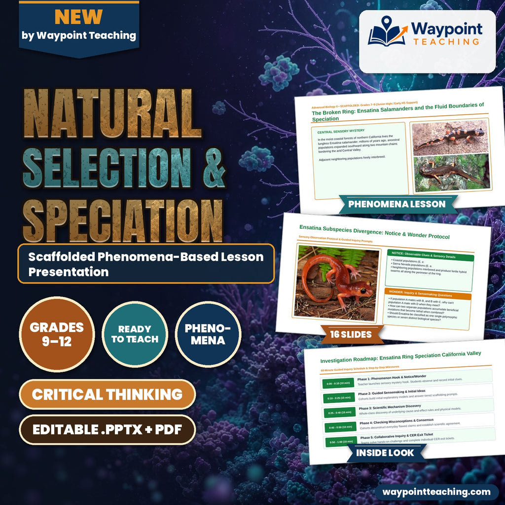 Natural Selection & Speciation Scaffolded Phenomena-Based Lesson: The Broken Ring: Ensatina Salamanders and the Fluid Boundaries of Speciation Presentation cover