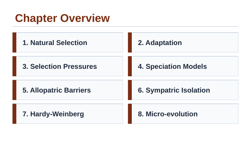 Natural Selection & Speciation Slide Show Presentation sample page