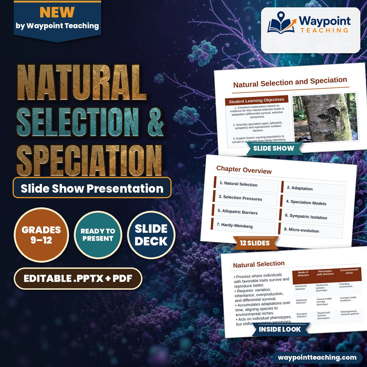 Natural Selection & Speciation Slide Show Presentation cover