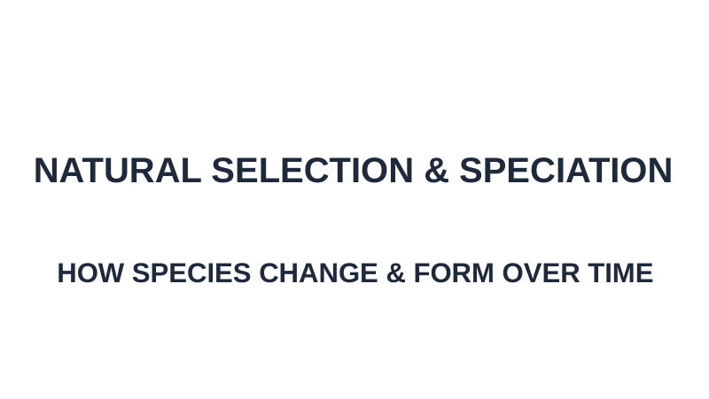 Natural Selection & Speciation Substitute Slideshow & Teacher Guide sample page