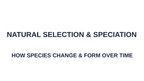 Natural Selection & Speciation Substitute Slideshow & Teacher Guide sample page