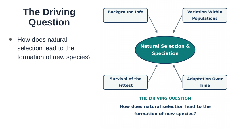 Natural Selection & Speciation Substitute Slideshow & Teacher Guide sample page