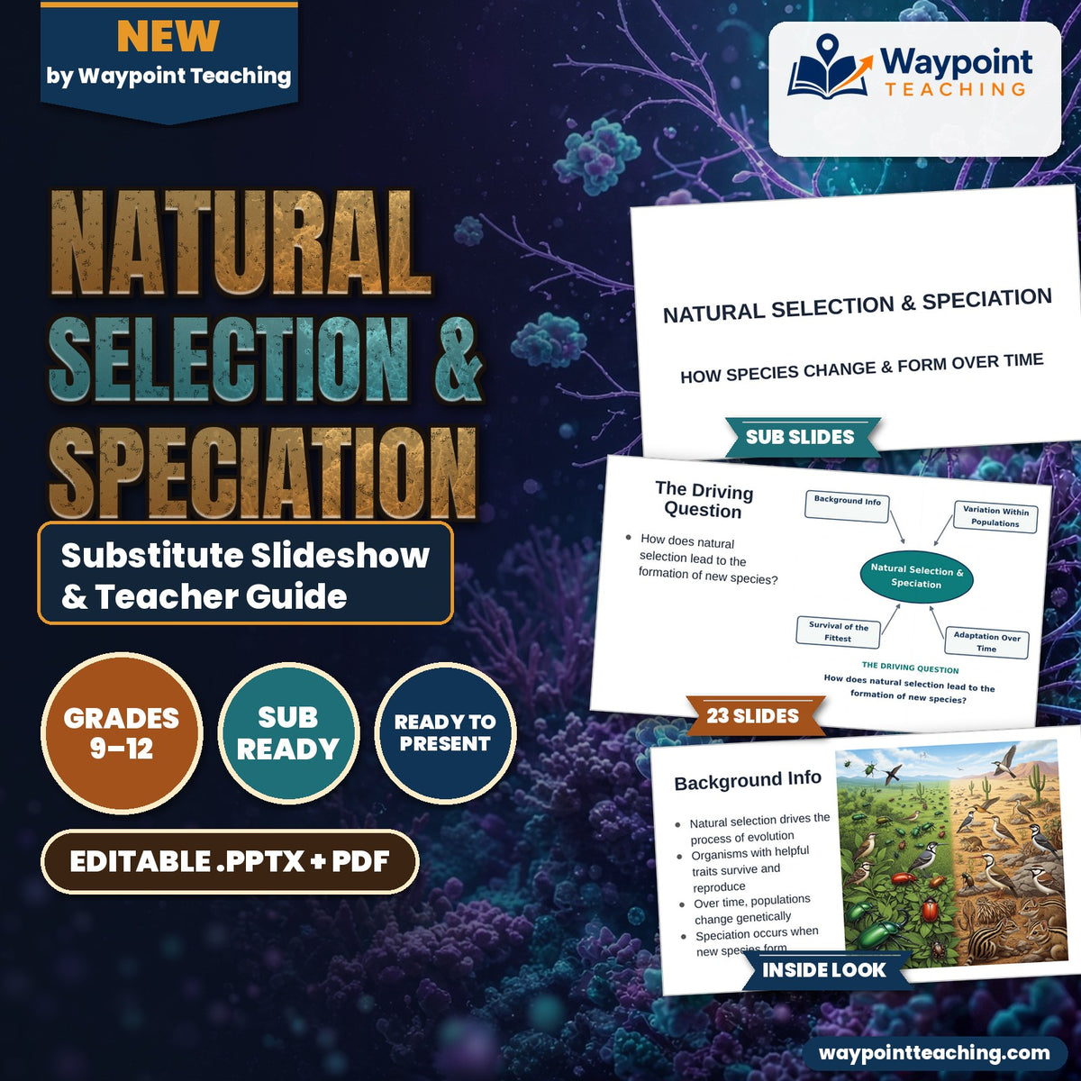 Natural Selection & Speciation Substitute Slideshow & Teacher Guide cover