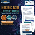 Nucleic Acid Thermodynamics: Phosphodiester Backbones, Hydrogen Bonding Stability, and DNA Denaturation Kinetics CER Phenomena Worksheet cover