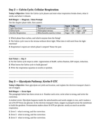 Photosynthesis & Respiration Bell Ringers & Exit Tickets sample page