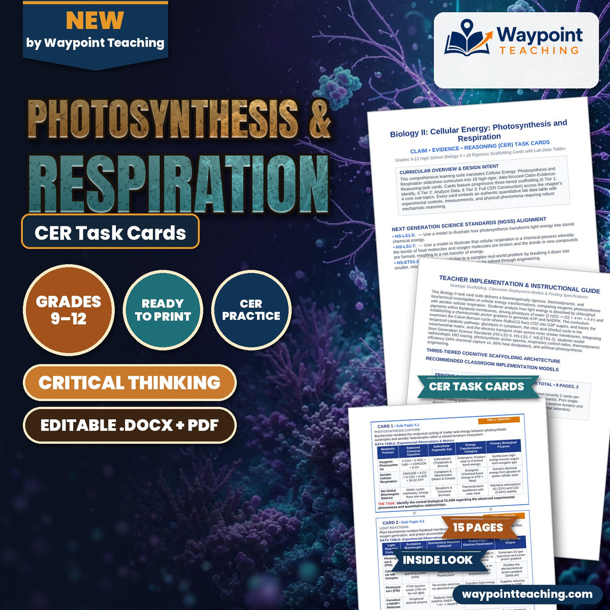 Photosynthesis & Respiration CER Task Cards cover