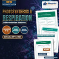 Photosynthesis & Respiration Differentiation Stations cover