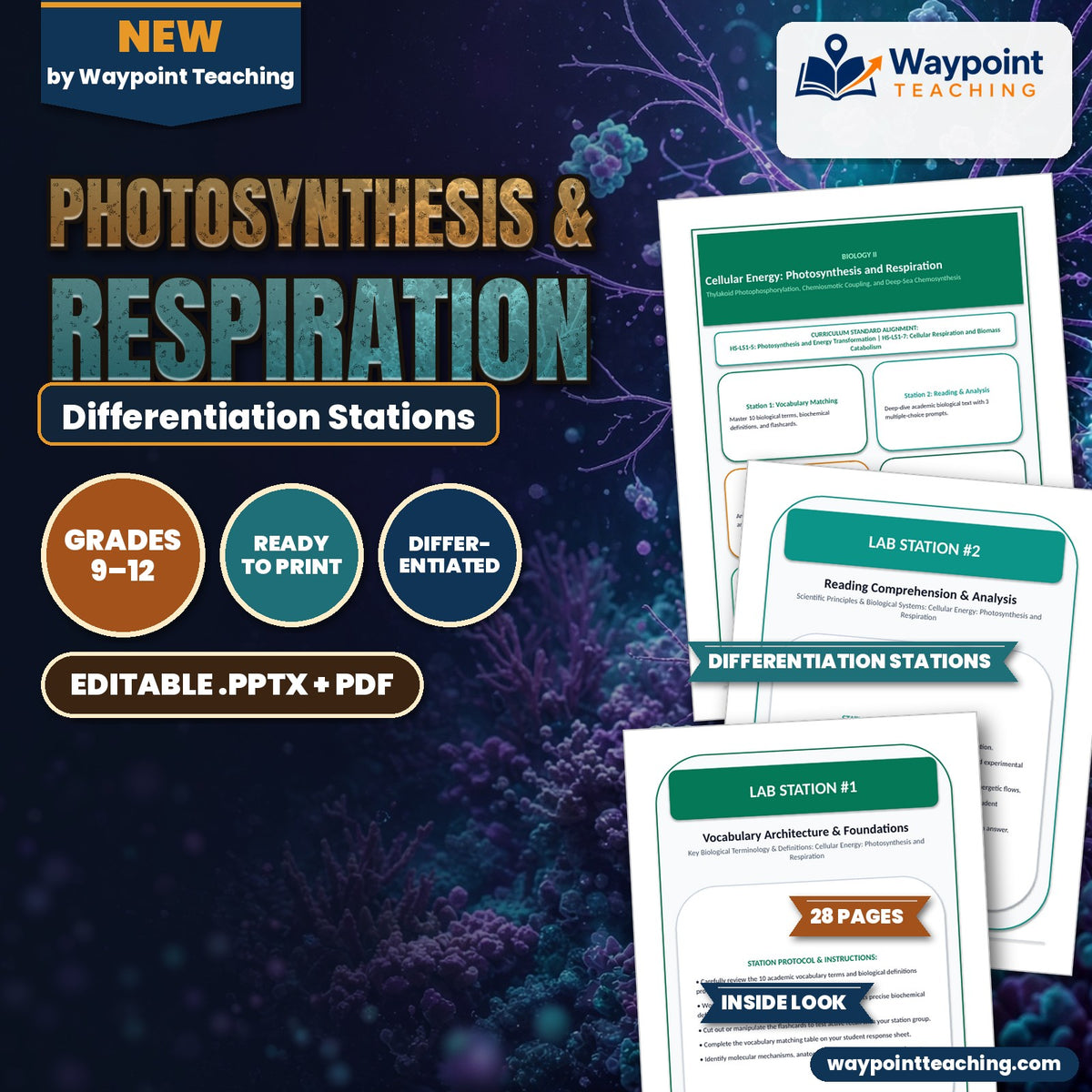 Photosynthesis & Respiration Differentiation Stations cover