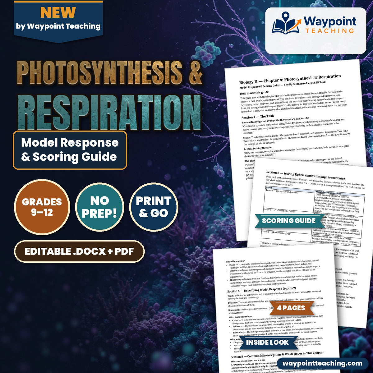 Photosynthesis & Respiration Model Response & Scoring Guide cover