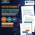 Photosynthesis & Respiration Phenomena-Based Lesson: The Sunless Metropolis: Hydrothermal Vent Ecosystems Powered by Sulfide Student Response Sheet cover