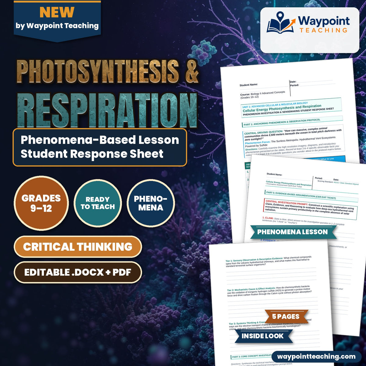 Photosynthesis & Respiration Phenomena-Based Lesson: The Sunless Metropolis: Hydrothermal Vent Ecosystems Powered by Sulfide Student Response Sheet cover