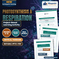 Photosynthesis & Respiration Project-Based Learning Activity cover
