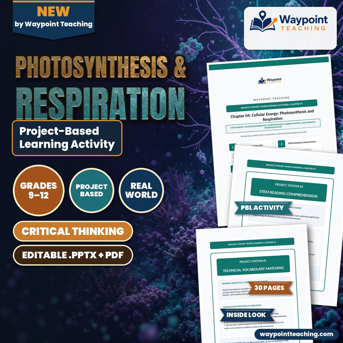 Photosynthesis & Respiration Project-Based Learning Activity cover