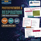 Photosynthesis & Respiration Slide Show Presentation cover