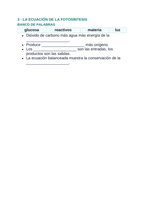 Photosynthesis & Respiration Spanish Guided Notes sample page