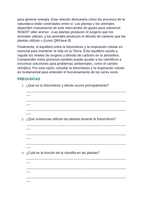 Photosynthesis & Respiration Spanish Reading Passage & Comprehension Questions sample page