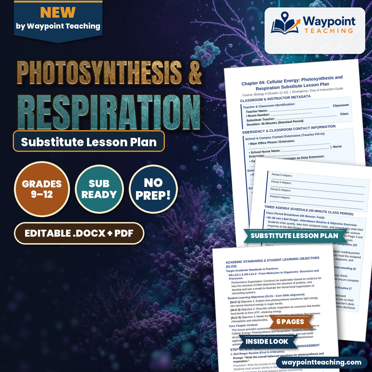 Photosynthesis & Respiration Substitute Lesson Plan cover
