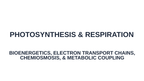 Photosynthesis & Respiration Substitute Slideshow & Teacher Guide sample page