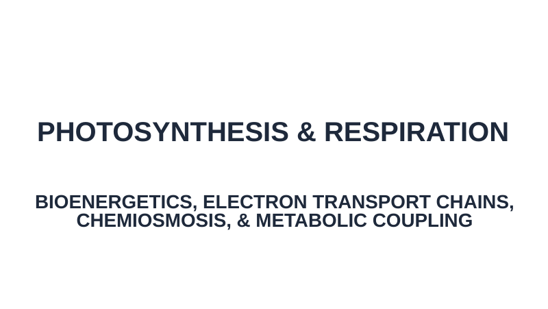Photosynthesis & Respiration Substitute Slideshow & Teacher Guide sample page