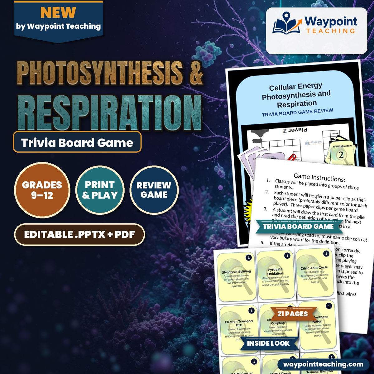 Photosynthesis & Respiration Trivia Board Game cover