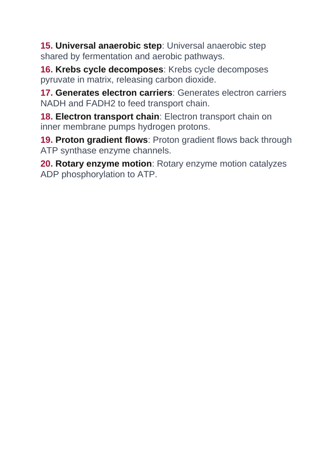 Photosynthesis & Respiration Vocabulary Words & Definitions sample page